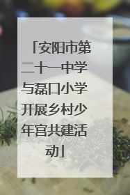 安阳市第二十一中学与磊口小学开展乡村少年宫共建活动
