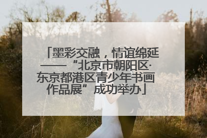 墨彩交融，情谊绵延——“北京市朝阳区·东京都港区青少年书画作品展”成功举办