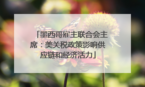 墨西哥雇主联合会主席：美关税政策影响供应链和经济活力