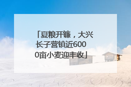 夏粮开镰，大兴长子营镇近6000亩小麦迎丰收