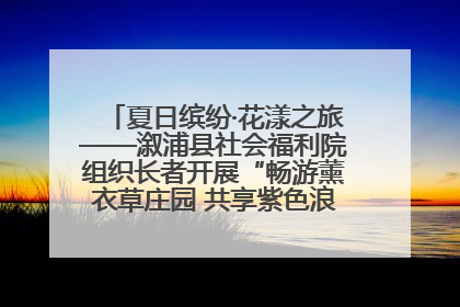 夏日缤纷·花漾之旅——溆浦县社会福利院组织长者开展“畅游薰衣草庄园 共享紫色浪漫”户外活动