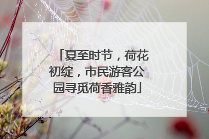 夏至时节，荷花初绽，市民游客公园寻觅荷香雅韵