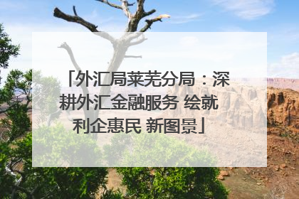 外汇局莱芜分局：深耕外汇金融服务 绘就利企惠民 新图景