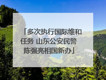 多次执行国际维和任务 山东公安民警陈强亮相国新办