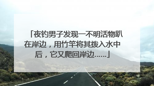 夜钓男子发现一不明活物趴在岸边，用竹竿将其拨入水中后，它又爬回岸边……