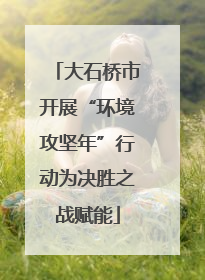 大石桥市开展“环境攻坚年”行动为决胜之战赋能