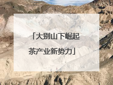 大别山下崛起茶产业新势力