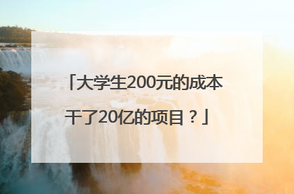 大学生200元的成本干了20亿的项目？