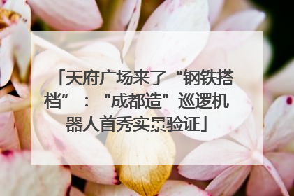 天府广场来了“钢铁搭档”：“成都造”巡逻机器人首秀实景验证