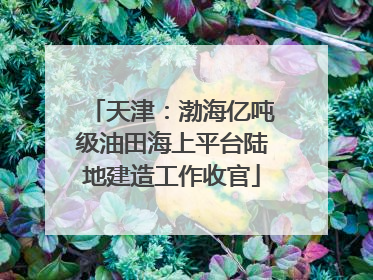 天津：渤海亿吨级油田海上平台陆地建造工作收官