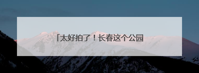 太好拍了！长春这个公园的“520花墙”火出圈