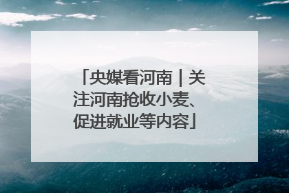 央媒看河南｜关注河南抢收小麦、促进就业等内容