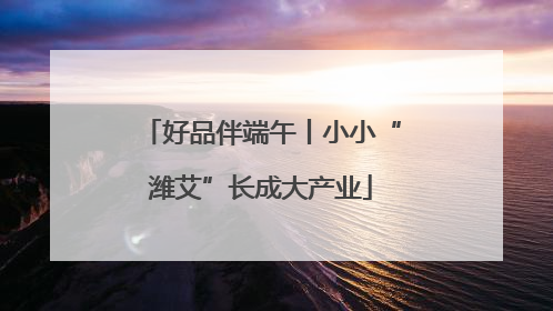 好品伴端午丨小小“潍艾”长成大产业
