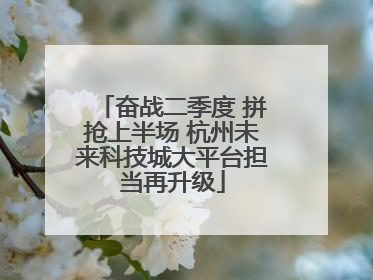 奋战二季度 拼抢上半场 杭州未来科技城大平台担当再升级