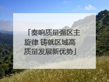 奏响质量强区主旋律 铸就区域高质量发展新优势