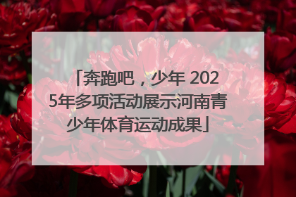 奔跑吧，少年 2025年多项活动展示河南青少年体育运动成果