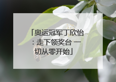 奥运冠军丁欣怡：走下领奖台 一切从零开始