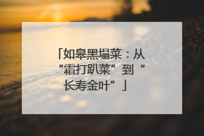 如皋黑塌菜：从“霜打趴菜”到“长寿金叶”