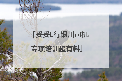 妥妥E行银川司机专项培训超有料