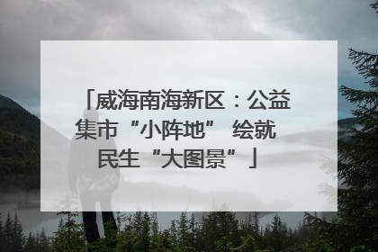 威海南海新区：公益集市“小阵地” 绘就民生“大图景”