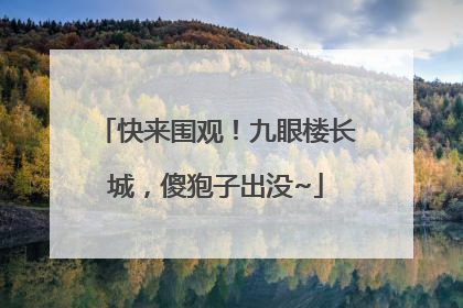 快来围观！九眼楼长城，傻狍子出没~