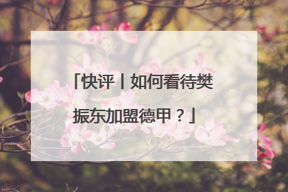 快评丨如何看待樊振东加盟德甲？