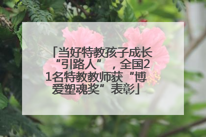 当好特教孩子成长“引路人”，全国21名特教教师获“博爱塑魂奖”表彰
