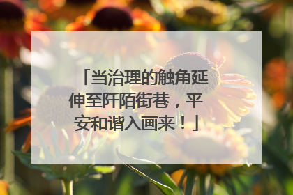 当治理的触角延伸至阡陌街巷，平安和谐入画来！