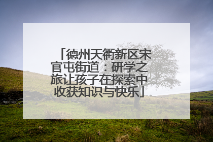 德州天衢新区宋官屯街道：研学之旅让孩子在探索中收获知识与快乐