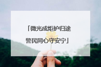 微光成炬护归途 警民同心守安宁