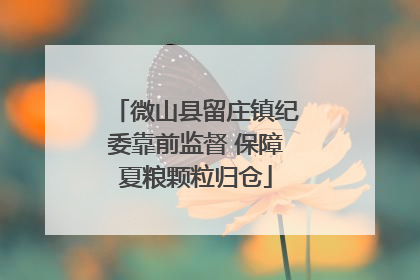 微山县留庄镇纪委靠前监督 保障夏粮颗粒归仓