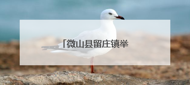 微山县留庄镇举办专场招聘会