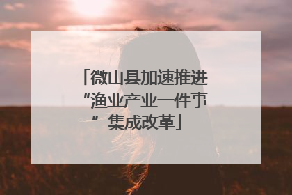 微山县加速推进“渔业产业一件事”集成改革