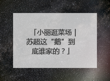 小丽逛菜场｜苏超这“鹅”到底谁家的？