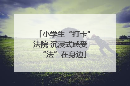 小学生“打卡”法院 沉浸式感受“法”在身边