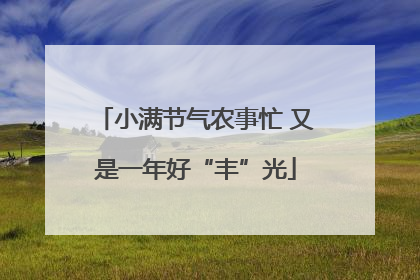 小满节气农事忙 又是一年好“丰”光