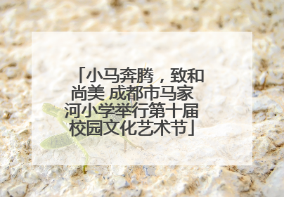 小马奔腾，致和尚美 成都市马家河小学举行第十届校园文化艺术节