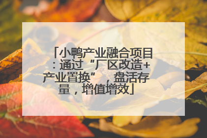 小鸭产业融合项目：通过“厂区改造+产业置换”，盘活存量，增值增效