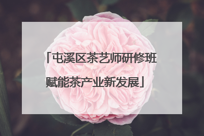 屯溪区茶艺师研修班赋能茶产业新发展