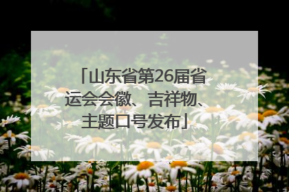 山东省第26届省运会会徽、吉祥物、主题口号发布
