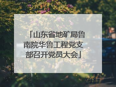 山东省地矿局鲁南院华鲁工程党支部召开党员大会