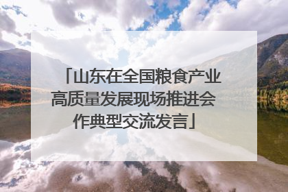山东在全国粮食产业高质量发展现场推进会作典型交流发言