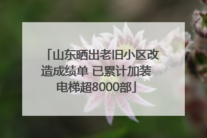 山东晒出老旧小区改造成绩单 已累计加装电梯超8000部