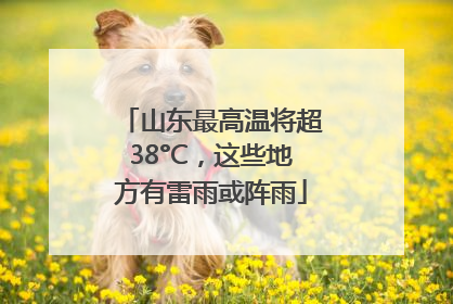 山东最高温将超38°C，这些地方有雷雨或阵雨