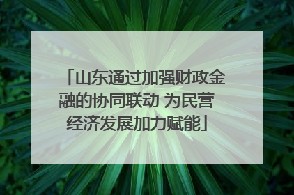 山东通过加强财政金融的协同联动 为民营经济发展加力赋能