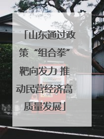 山东通过政策“组合拳”靶向发力 推动民营经济高质量发展