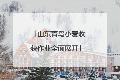 山东青岛小麦收获作业全面展开