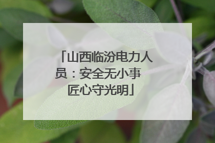 山西临汾电力人员：安全无小事 匠心守光明