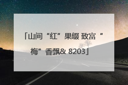 山间“红”果缀 致富“梅”香飘& 8203