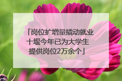 岗位扩增量撬动就业 十堰今年已为大学生提供岗位2万余个